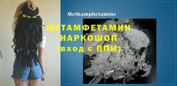 ГАЛЛЮЦИНОГЕННЫЕ ГРИБЫ Бородино