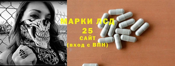 ГАЛЛЮЦИНОГЕННЫЕ ГРИБЫ Бородино