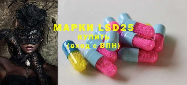ГАЛЛЮЦИНОГЕННЫЕ ГРИБЫ Бородино