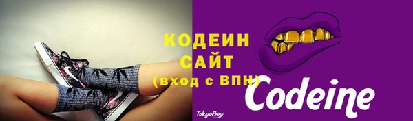 гашик Осташков