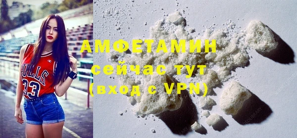 ГАЛЛЮЦИНОГЕННЫЕ ГРИБЫ Бородино
