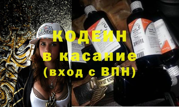 ГАЛЛЮЦИНОГЕННЫЕ ГРИБЫ Бородино